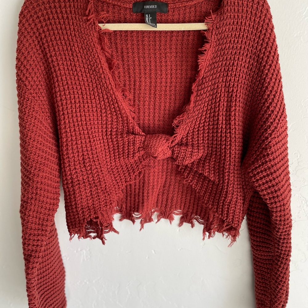 Forever 21 cropped sweater
